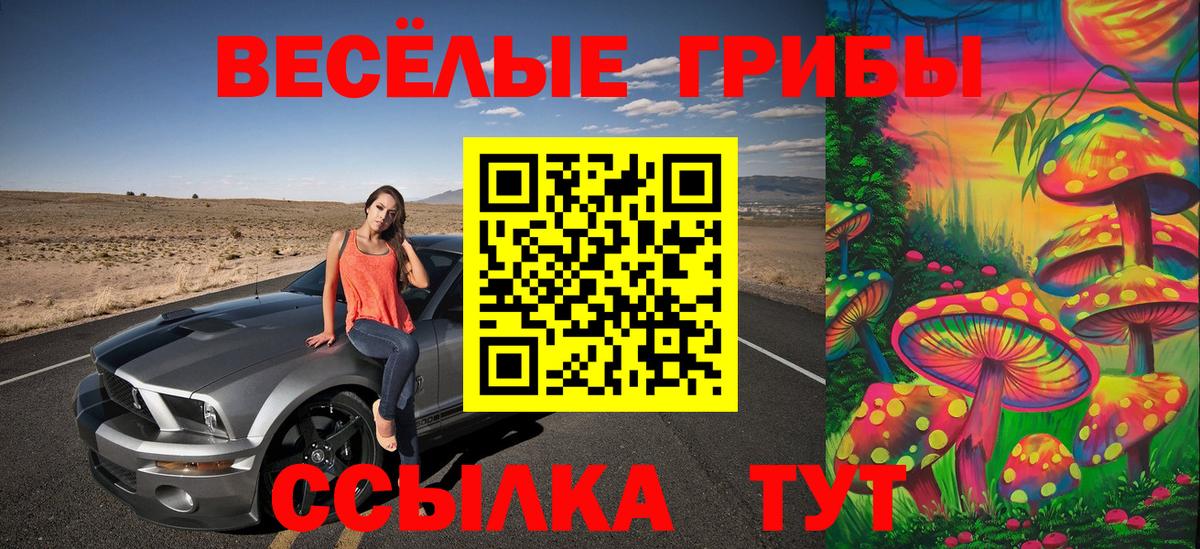 Нижний Новгород  Галлюциногенные грибы Psilocybine cubensis  Вход с VPN 